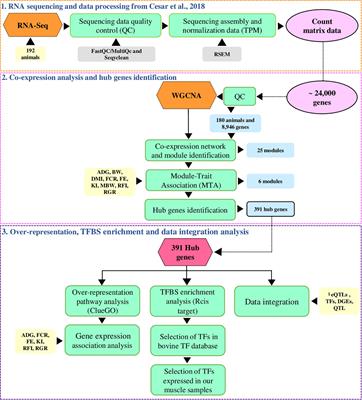 Potential Biomarkers for Feed Efficiency-Related Traits in Nelore Cattle Identified by Co-expression Network and Integrative Genomics Analyses